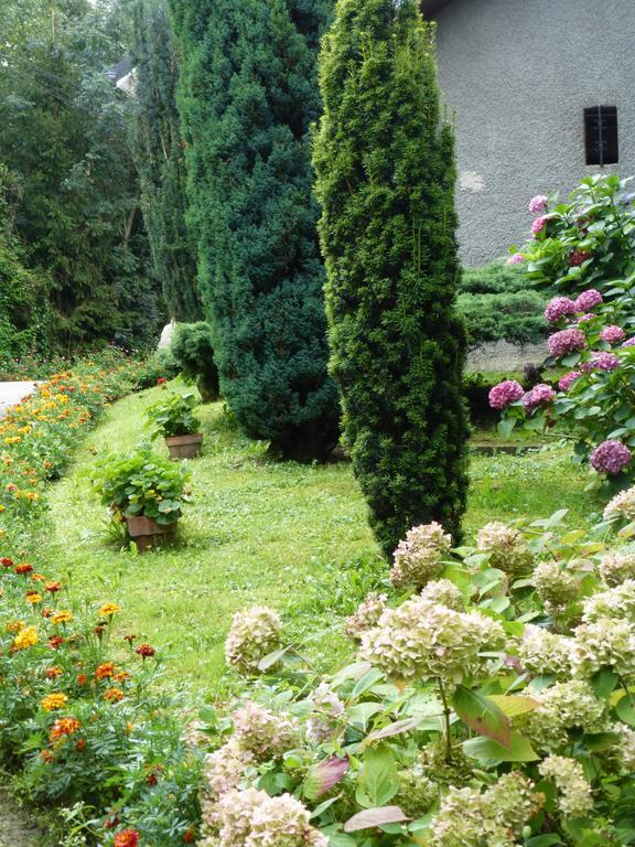 Au Coeur De La Campagne - Gite Non Loins D'Annecy- A 17 Min D'Annecy - Tout Pret D'Aix Les Bains Saint-Girod Eksteriør billede