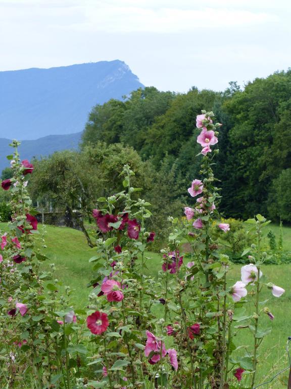 Au Coeur De La Campagne - Gite Non Loins D'Annecy- A 17 Min D'Annecy - Tout Pret D'Aix Les Bains Saint-Girod Eksteriør billede